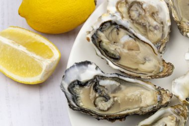 Beyaz arka planda limonla kaplı istiridye tabağı.