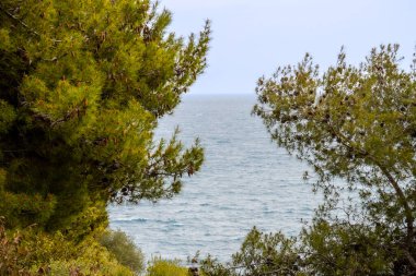 Parktaki gölün güzel manzarası