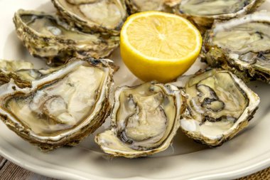 Açık istiridyeleri limonlu bir tabakta yakın.