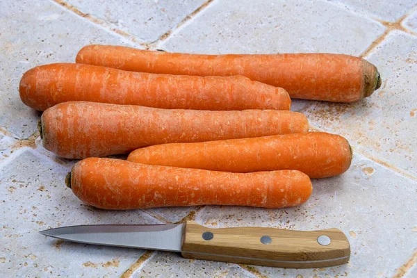 Several Raw Carrots Isolated Table Knife — Photo