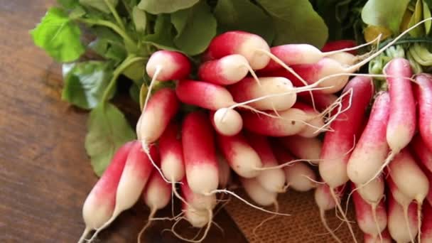 Bunches Radishes Burlap — Vídeo de Stock