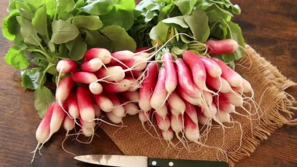 Top View Bunches Radishes Burlap Video — Vídeos de Stock