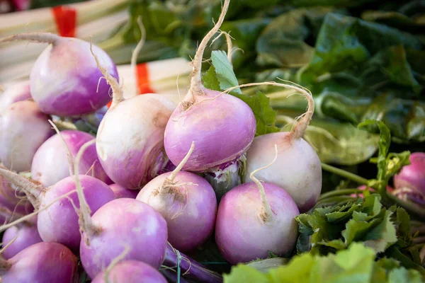 Close Fresh Raw Turnips Market —  Fotos de Stock