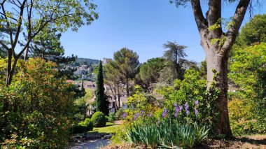 Güneşin altında güzel bir park manzarası