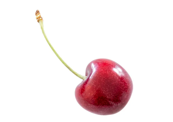 Cereza Roja Aislada Sobre Fondo Blanco — Foto de Stock