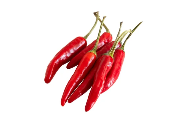 Chiles Rojos Pequeños Aislados Sobre Fondo Blanco — Foto de Stock