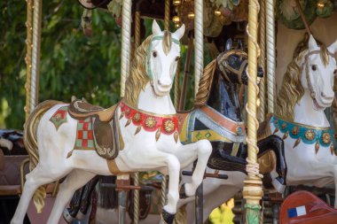 Lunaparktaki atlı karınca.
