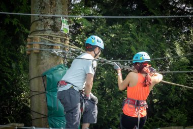 Çocuklar parkta ağaca tırmanıyor.