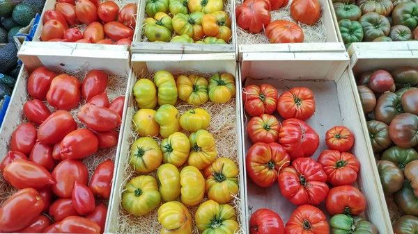 市場の箱の中のトマトの色は — ストック写真