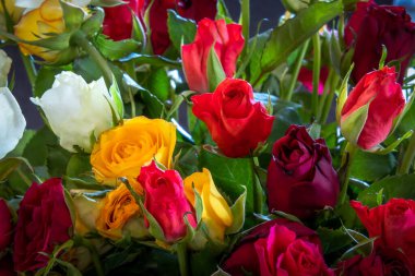 Bir gül buketine yaklaş.