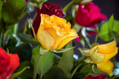 Bir gül buketine yaklaş.