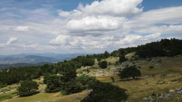 Vista Das Montanhas Verão Mont Serein — Vídeo de Stock