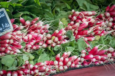 Piyasada taze kırmızı turplar