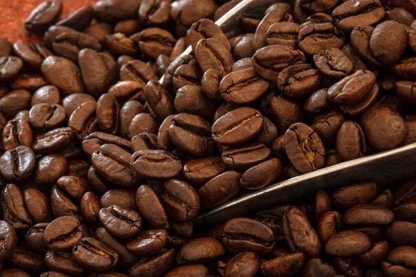 Coffee Beans Scoop Dark Background — Foto de Stock