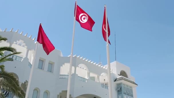 Flags Tunisia Blue Sky — Stock Video