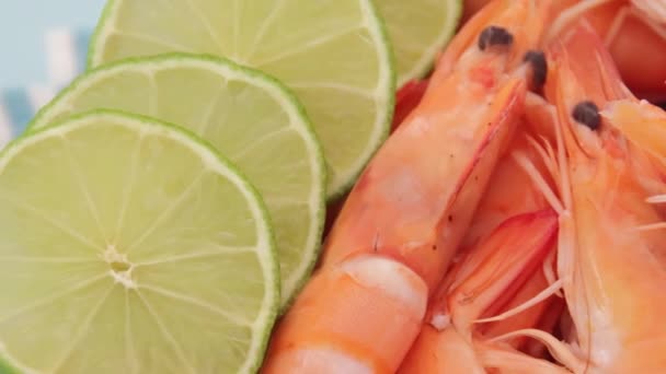 Delicious Shrimps Lime Slices Plate — Video Stock