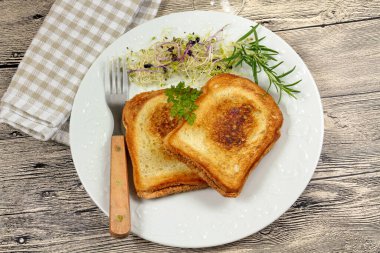 croque monsieur close-up on a plate. Toasts 
