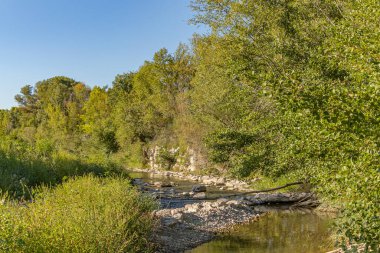 Nehir ve ormanlı güzel bir manzara.