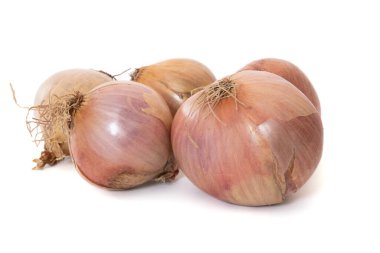 pink onions close-up isolated on a white background