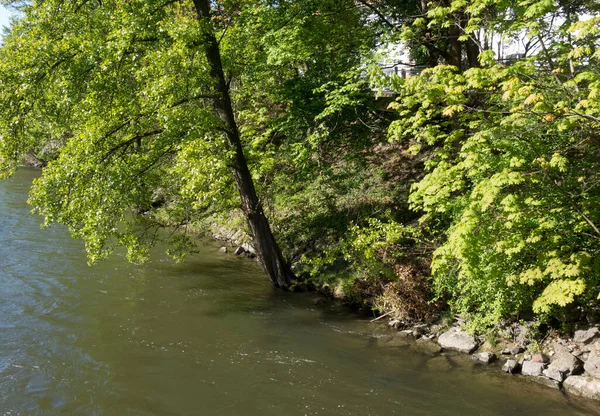 river water,floating water on earth