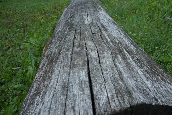 Patrón Grano Madera Estructuras Superficie Madera —  Fotos de Stock