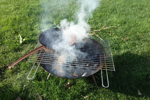 夏天的烧烤 有香肠 肉和蔬菜 — 图库照片