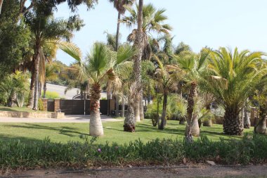 Yerel dinlenme alanı olarak yeşil bitkileri ve ağaçları olan bir park tesisi.