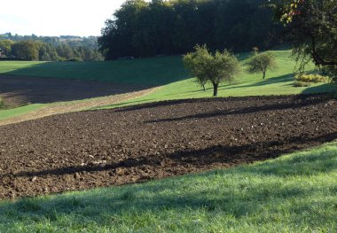 tarımda bir tarlada toprak, kullanılabilir arazi ve ekilebilir tarım