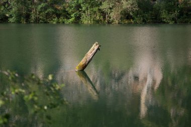 Yüzen suyu, doğal bir su yolu ve manzarası olan bir nehir.