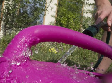 Bahçedeki bir su bidonuyla çiçekleri sulamak.