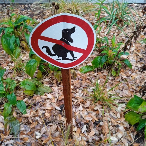 Dog Feces Sign Park Symbol Dog Excrements — Stock Photo, Image