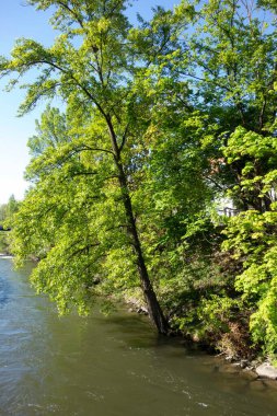 Yüzen suyu, doğal bir su yolu ve manzarası olan bir nehir.