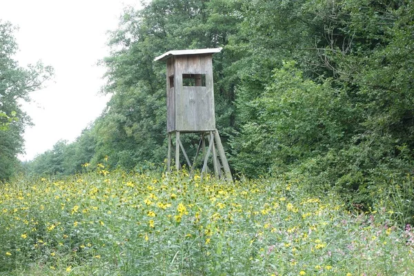 Cavalletto Alberi Cervi Utilizzato Dai Cacciatori Nel Settore Forestale — Foto Stock