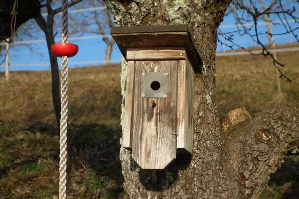 Vogelkooi Vogelhuis Voor Het Huisvesten Van Vogels Als Gezelschapsdier — Stockfoto