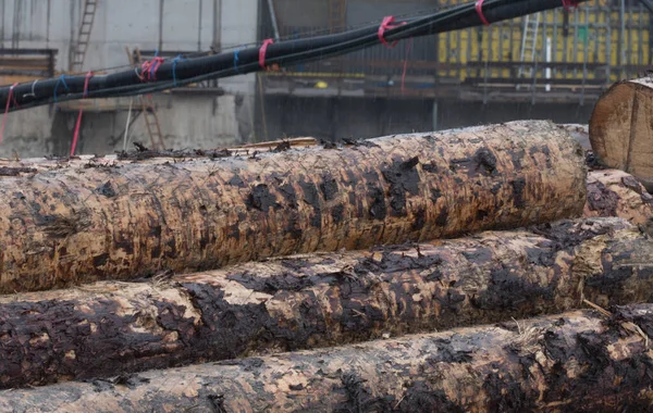 Madera Apilada Apilada Almacenamiento Madera Del Bosque — Foto de Stock