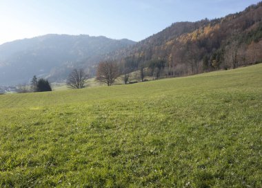 Yeşil çayır manzarası ve yamaçta arazi ekimi