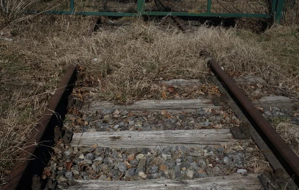 Abandoned Railroad Line Rails Public Transport Freight Traffic — Stock Photo, Image
