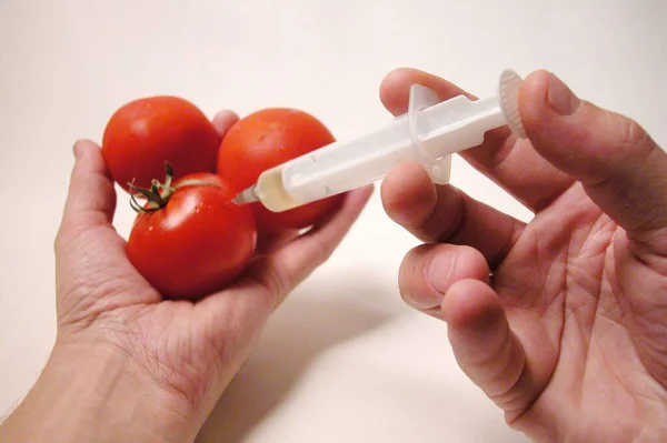 Ingeniería Genética Cultivo Vegetal Inyección Con Jeringa Tomates — Foto de Stock