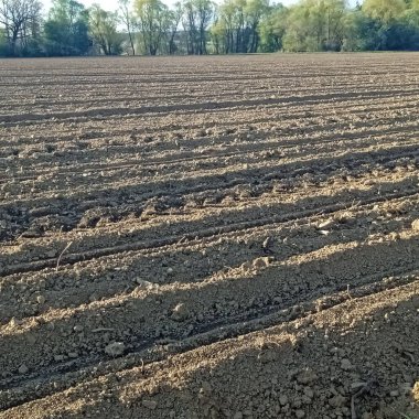 tarımda bir tarlada humus, kullanılabilir arazi ve ekilebilir tarım