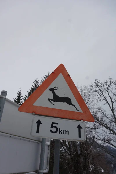 Attention Deer Crossing Traffic Road Sign Red Triangle Warning Notice — Stockfoto