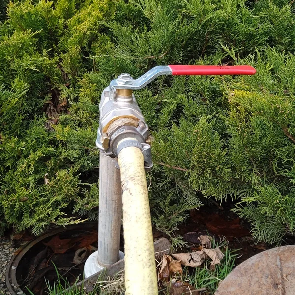 Bahçedeki çiçekleri sulamak için bahçe hortumu.