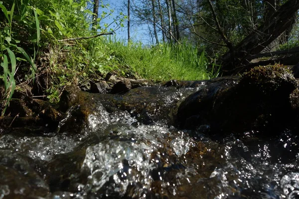 溪流自然界中的小溪 — 图库照片