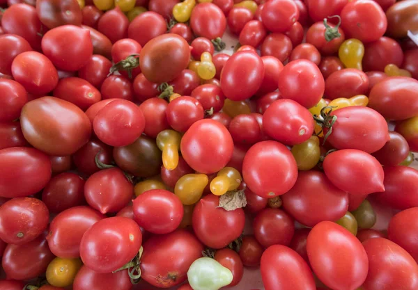 모양의 노란색 오렌지색 빨간색 토마토의 종류가 다양하다 — 스톡 사진