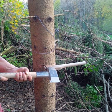 Ticari bir ormanda ağaç kesme, odun kesme ve ormancılık işi