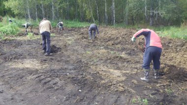 tarımda bir tarlada toprak, kullanılabilir arazi ve ekilebilir tarım