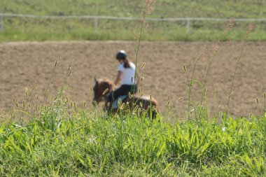 At üstünde zıplamak bir binicilik sporu disiplinidir.