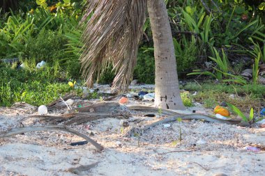 Plastik ve atıktan kaynaklanan su kirliliği, doğadaki çevre kirliliği