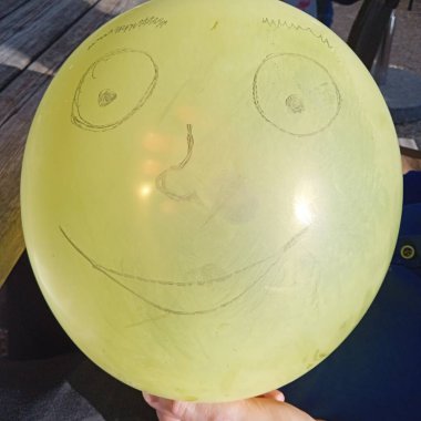 İnsan yüzü, göz, burun ve ağızla kafanın bir parçasıdır.