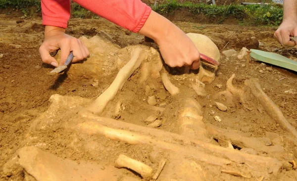 archaeology at the cemetery or the burial ground, history research