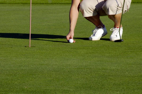 Golf Player Golf Ball Green Lawn Next Whole — Fotografia de Stock